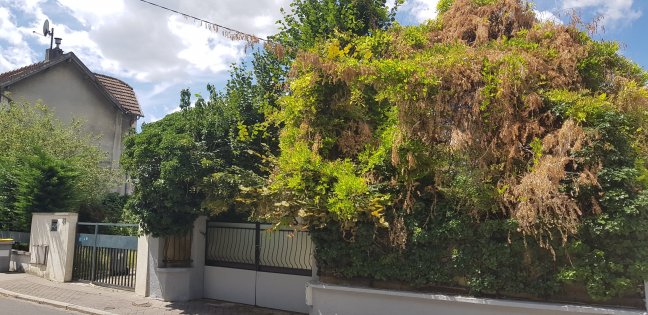 Vente maison Les Lilas 93260
