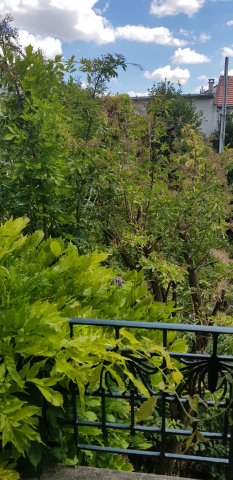 Vente maison Les Lilas 93260