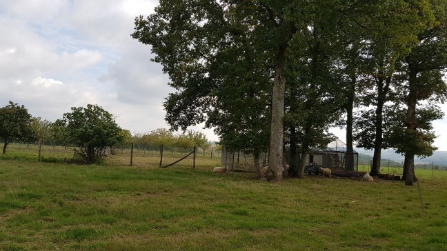 Vente maison Sens 89100