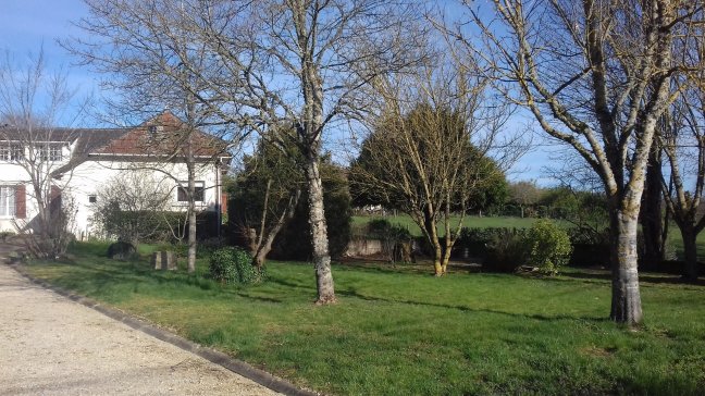Vente maison Cerisiers 89320