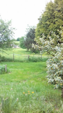 Vente maison Cerisiers 89320
