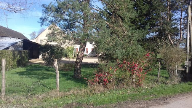 Vente maison Cerisiers 89320