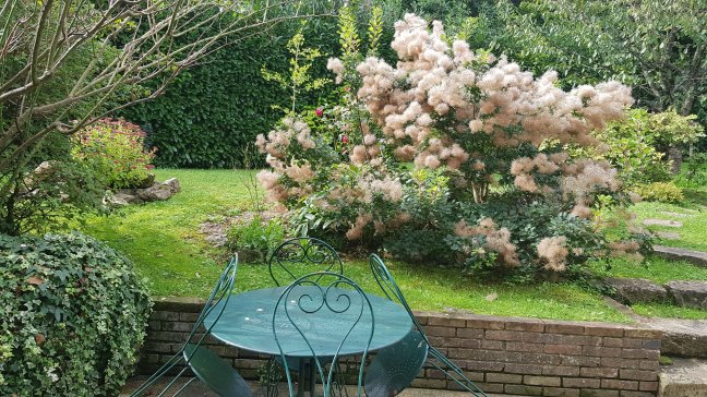 Vente maison Villeneuve-sur-yonne 89500