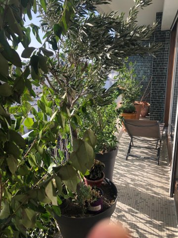 Vente appartement Paris 75015